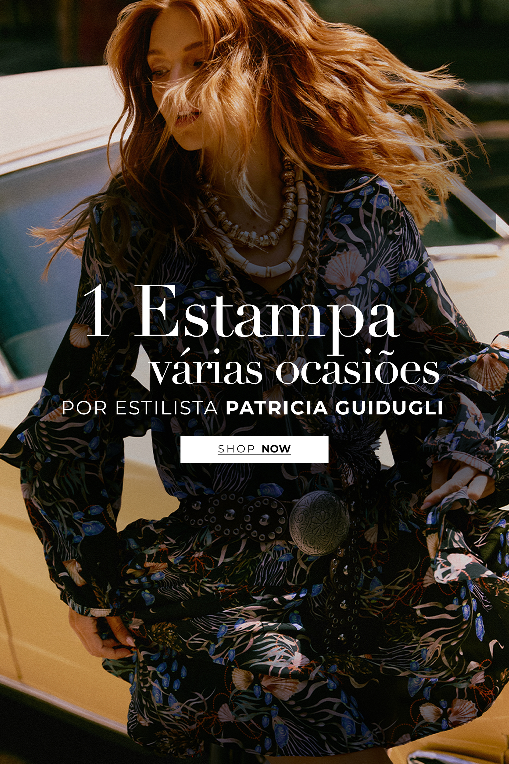 1 ESTAMPA VARIAS OCASIOES